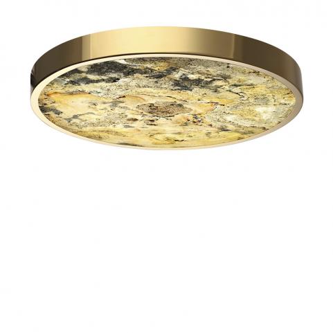 Настенно-потолочный светильник Odeon Light Bergi 5079/40L