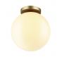 Потолочный светильник Odeon Light Bosco 4248/1C
