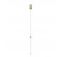 Подвесной светильник Maytoni Ray P022PL-L20G3K