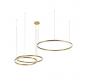 Подвесной светильник Loft IT Ring 10017/3S