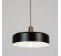 Светильник подвесной Arte Lamp Skat A7152SP-1BK
