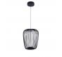 Светильник подвесной Arte Lamp Flare A3528SP-12BK
