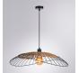 Светильник подвесной Arte Lamp Woodstock  A7061SP-1BK