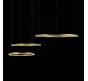 Подвесной светильник Loft IT Ring 10017/3M